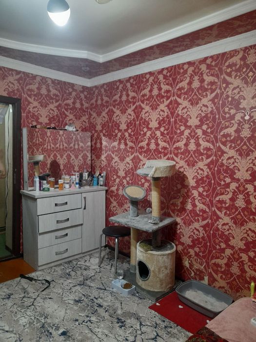 Сергели - Спутник 2/1/2