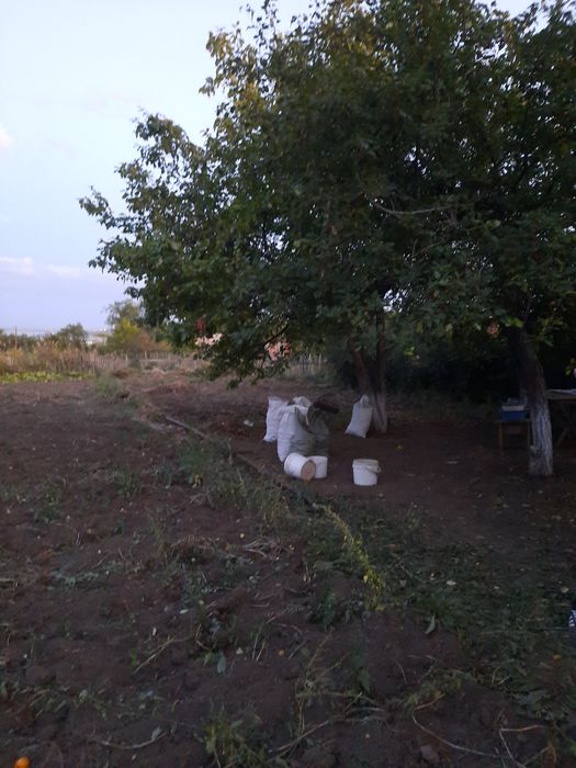 Земельный участок