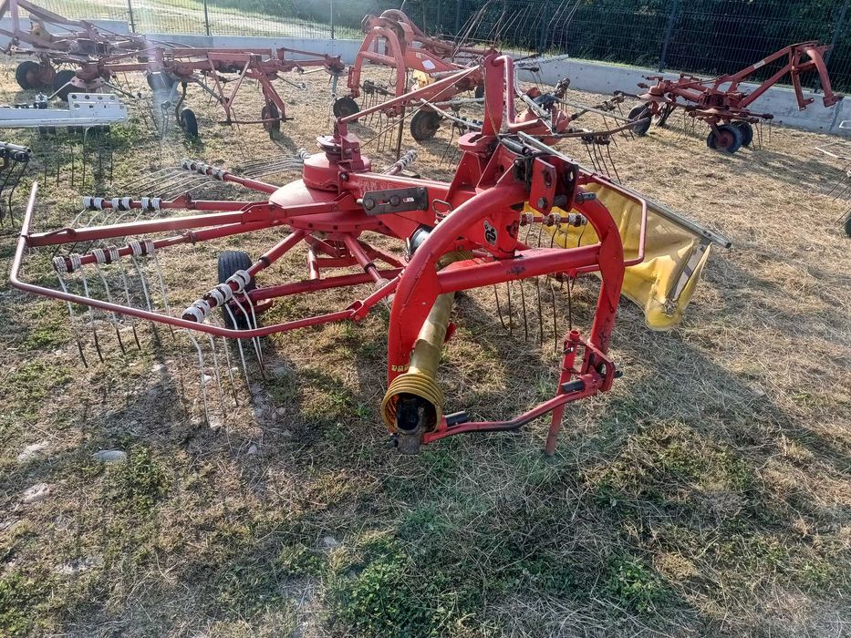 Grebla paianjen, Pottinger 33