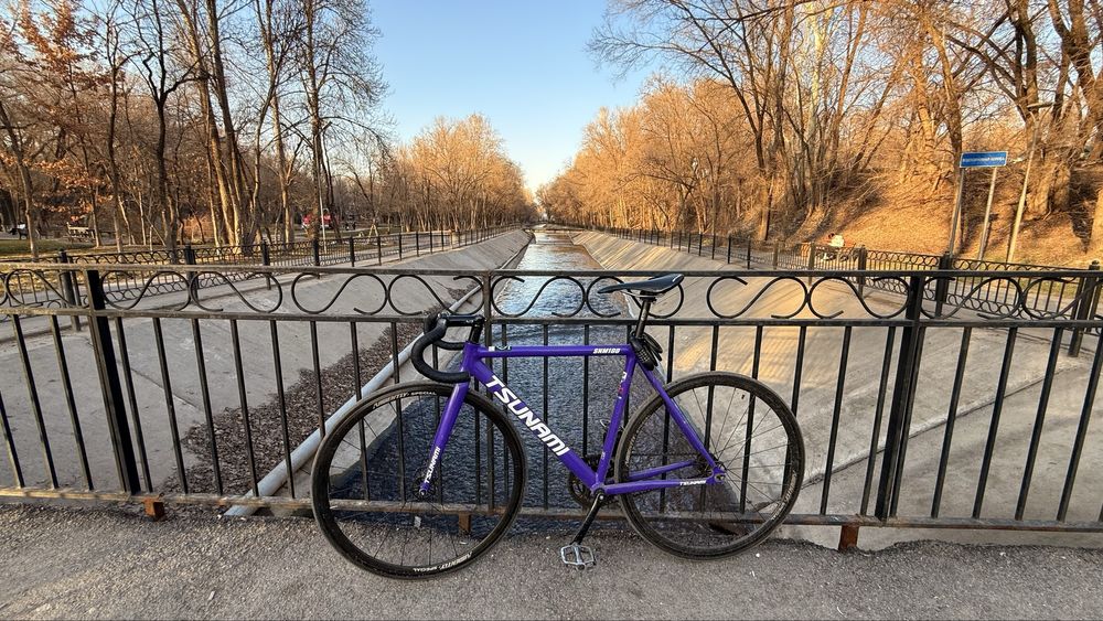 Фикс гир Тсунами бдсм100