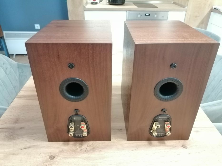 Monitor audio Silver 100