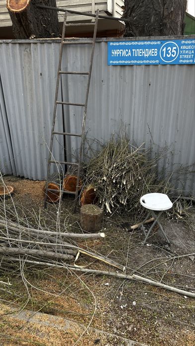 Дрова для печи бесплатно