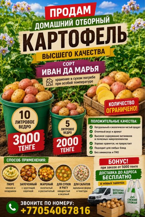 Продам домашний картофель отборный