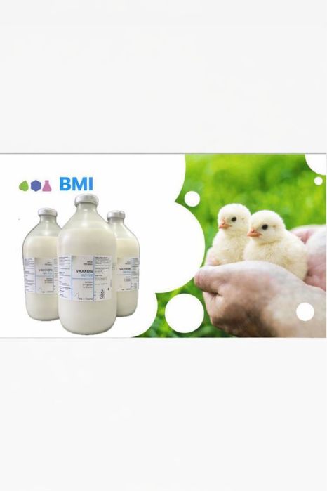 Вакцина для птиц Н9N2+ND