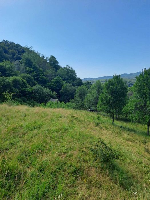 Teren 1.76 HA cu Sura/Construcție Lemn Rîșculița, HD