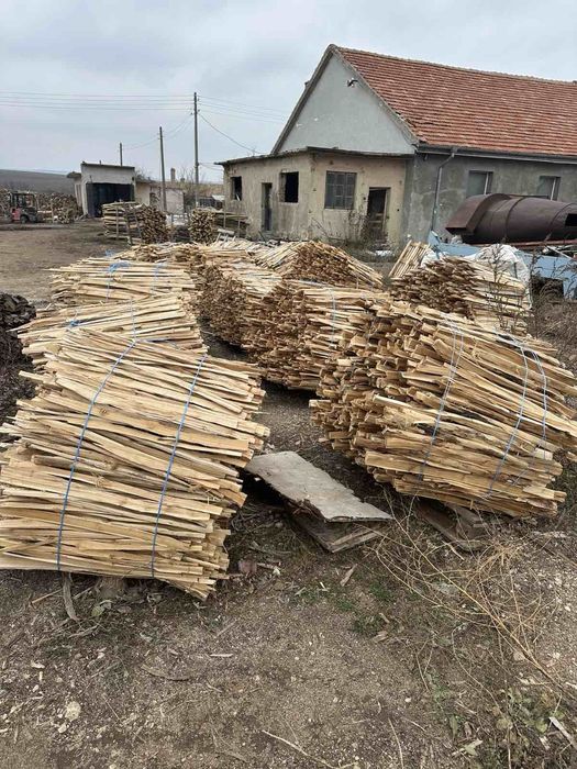 Изрезки  от Акация