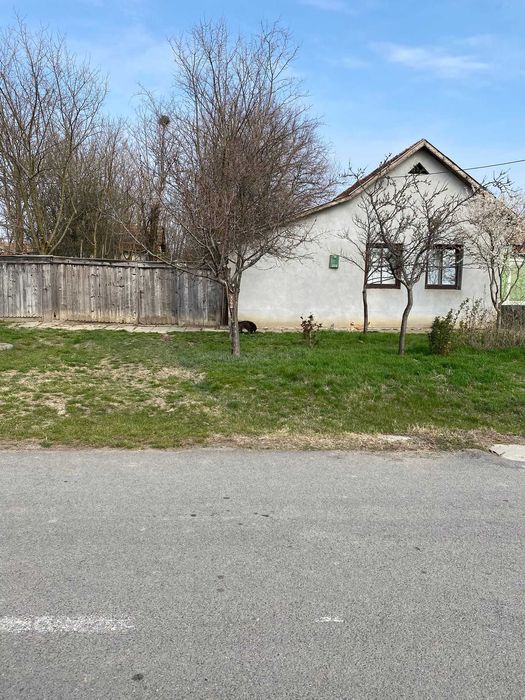 Vand casa situata in Nadlac
