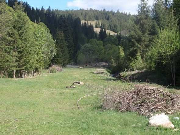 Vand 2500 mp teren intravilan + casuta de munte racordata la EON