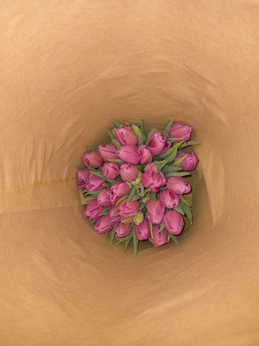 Цветы на 8-марта Тюльпаны