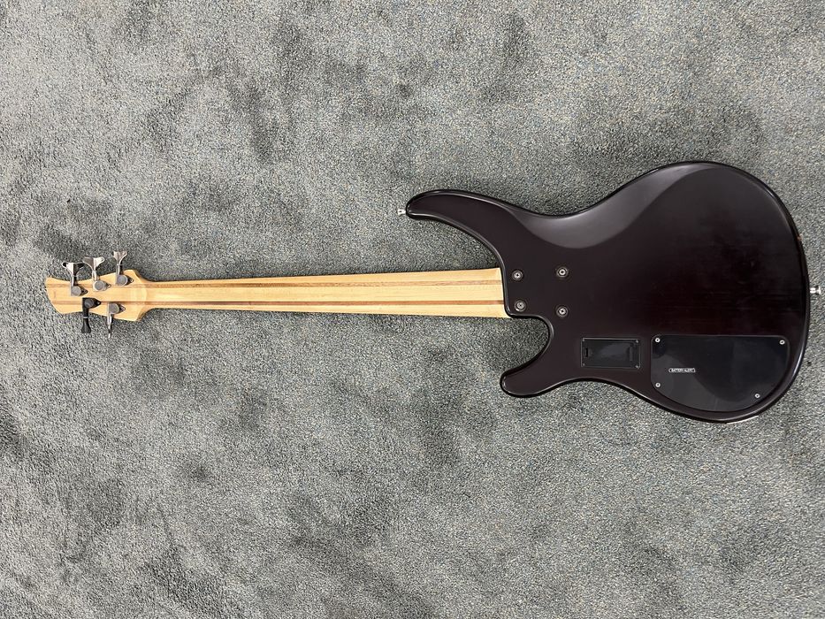 Бас гитара trbx 505