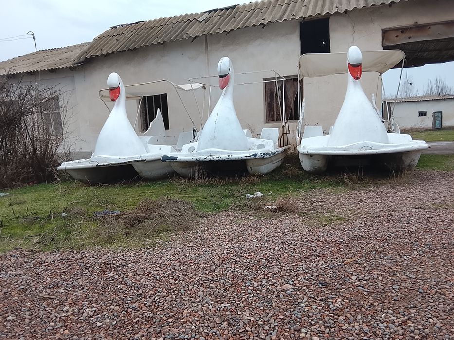 Катамаран соккани боладиган транспорт