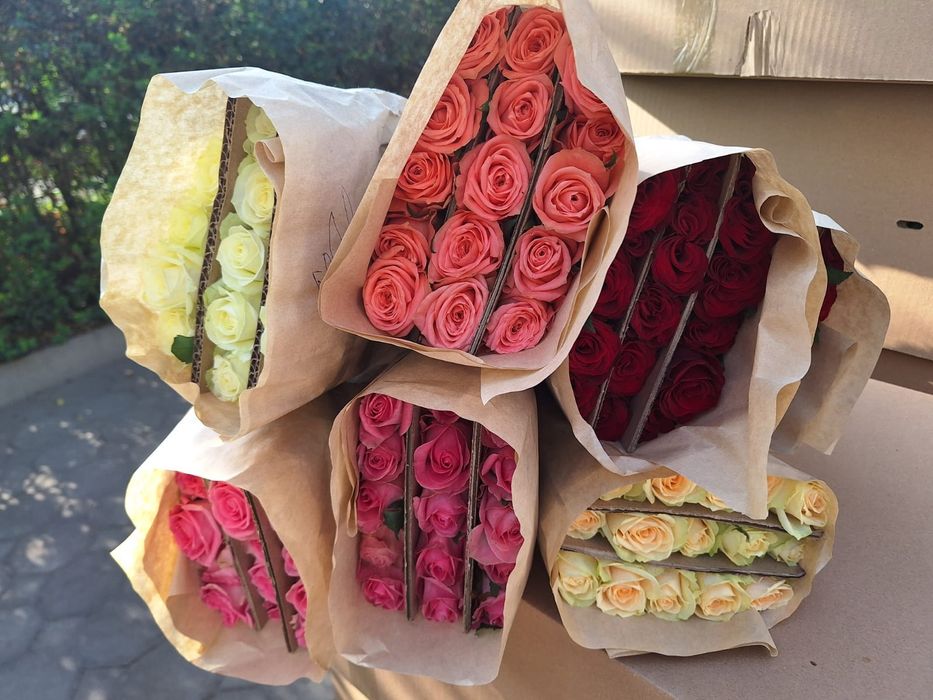 Цветы,цветы гулдер арзан бағада!!! Тегін доставка