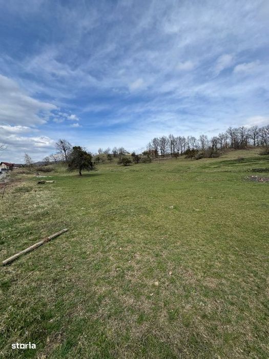 Teren 1.17 ha Baia Sprie, intravilan, PUZ aprobat, dublu acces