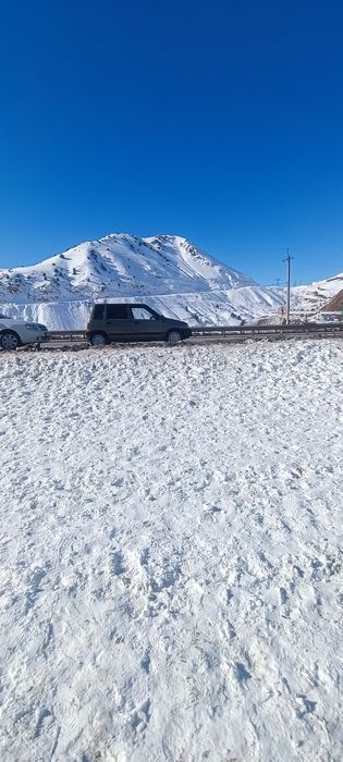 Tico sotiladi xolati urta