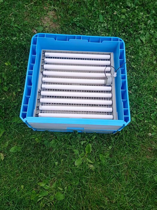 Incubator de ouă de vânzare