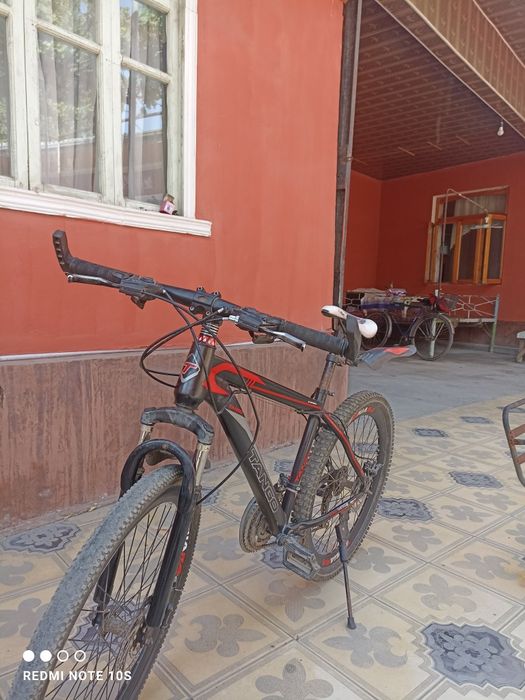 Tango goʻnchik sotiladi