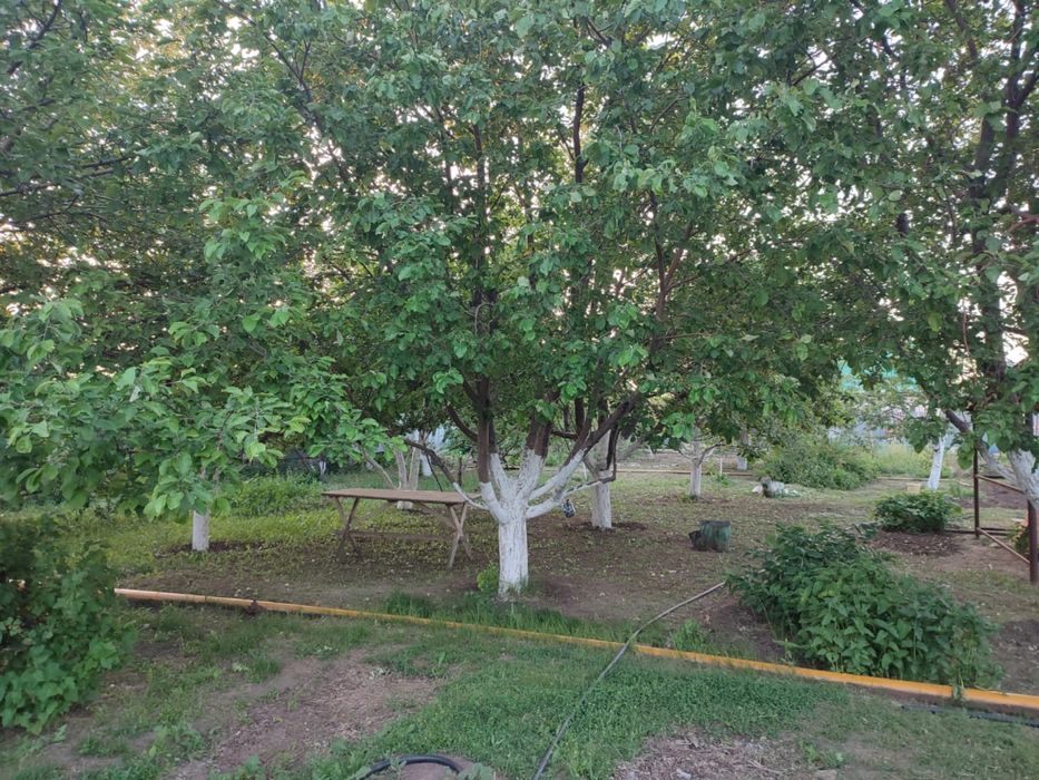 Срочно продам дом с  30 сот участоком!