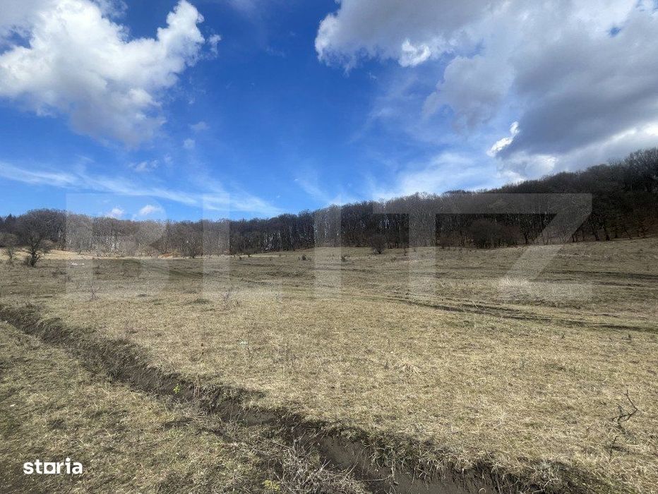 Teren extravilan de vanzare, 2,4 hectare, zona drumul Tarpiului