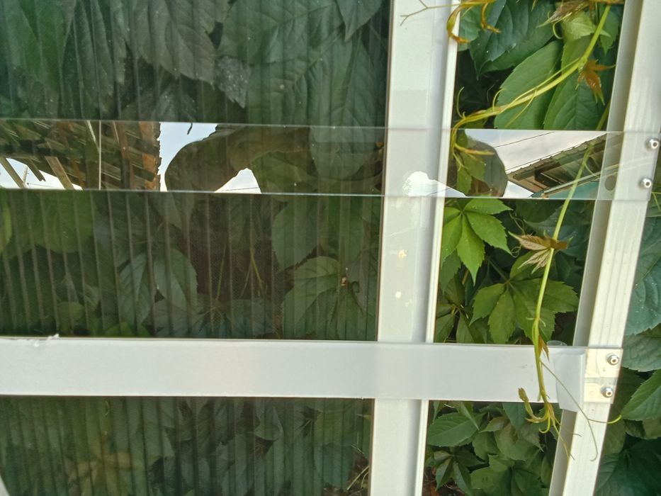 Решетка на окна прозрачные