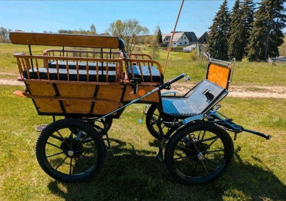 ‼️Trăsură boiereasca pentru cai,recent adusă din Germania‼️