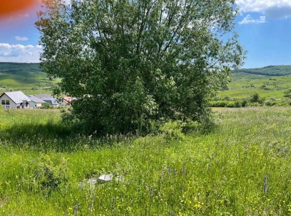 Teren de vanzare in Sopor Borhanci