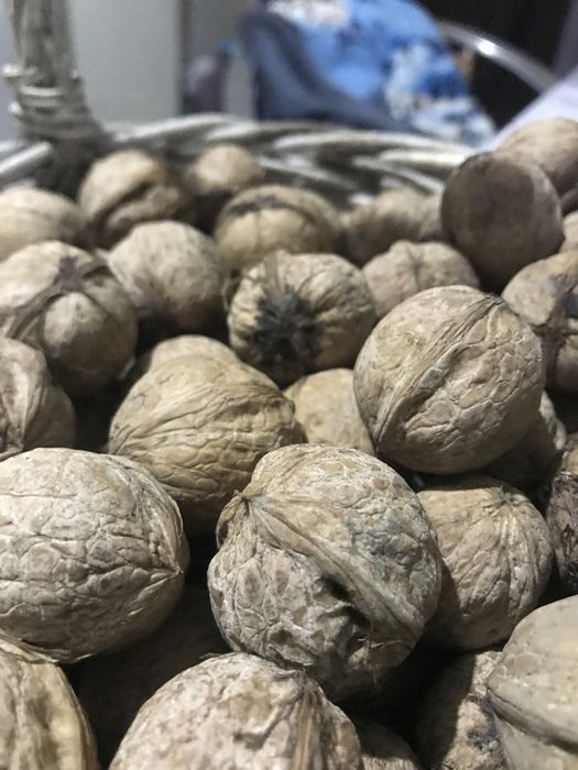 Орехи продам