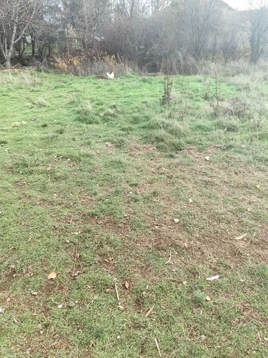 Продава се Парцел в Нови Искър - 175 кв.м за 123 €/кв.м - Снимка #4