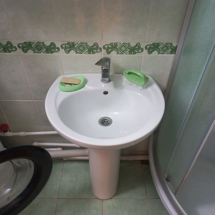 Тюльпан нахожусь в городе