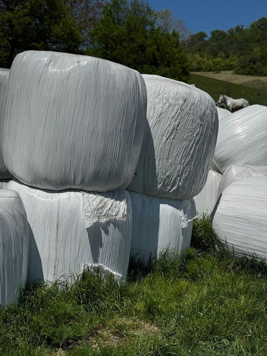 Lucernă baloți siloz înfoliați