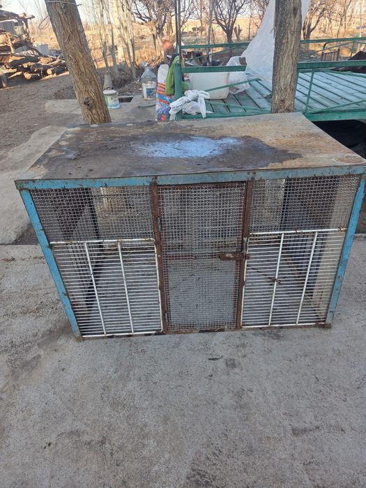 Клетка сатылады жақ