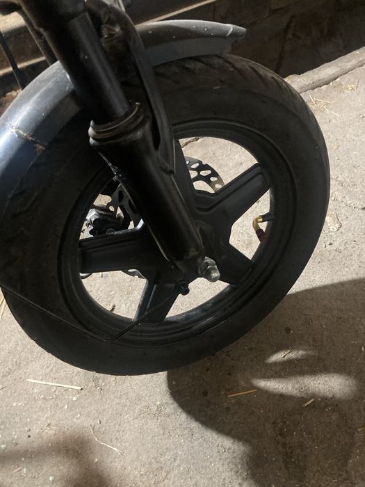 Электронныи велик Leopard