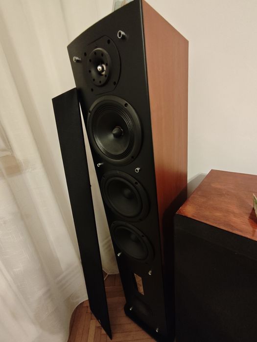 Boxe Triangle Celius 902 ca noi