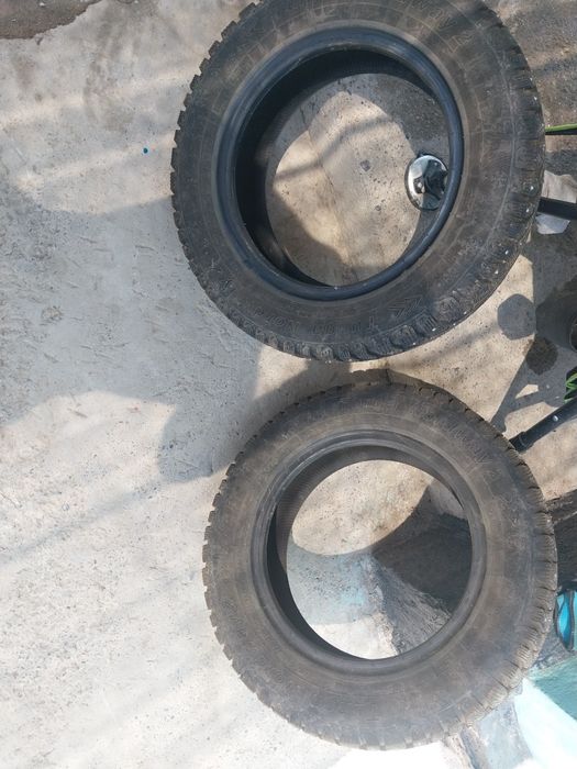 Продам покрышки на   14 шипованые один сезон езжиные как новые