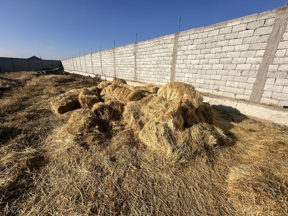 пресс шоп жаксы