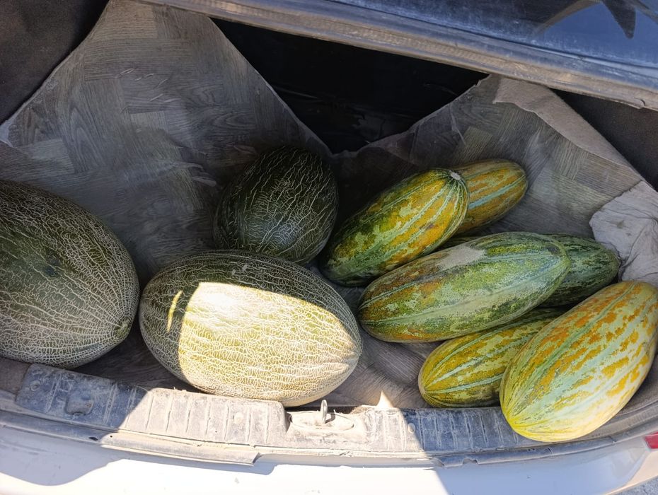 Шифонер таза тез арада сатылады