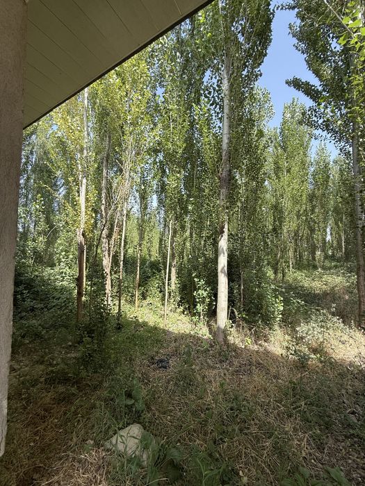 Участок на Ташморе 23 соток СРОЧНО!