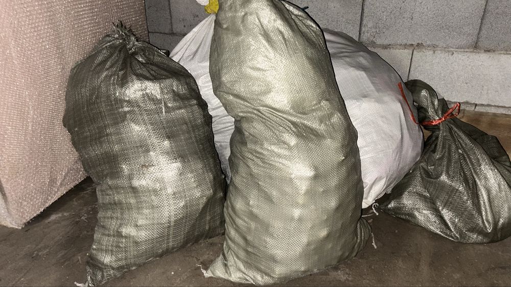 Луковицы от тюльпана