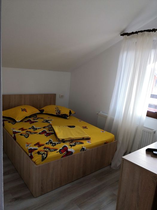 CABANA "SONIA 2"   Băile Figa Ciubar cu Jacuzzi. E ocupat de Revelion.