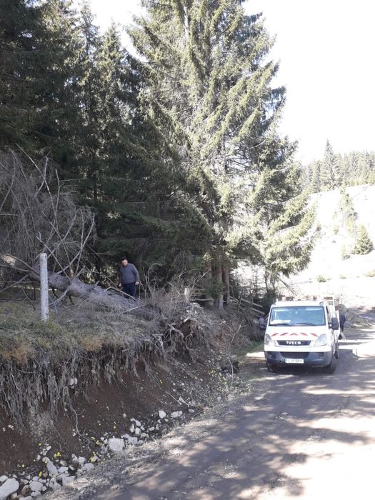 Vand teren Vatra Dornei