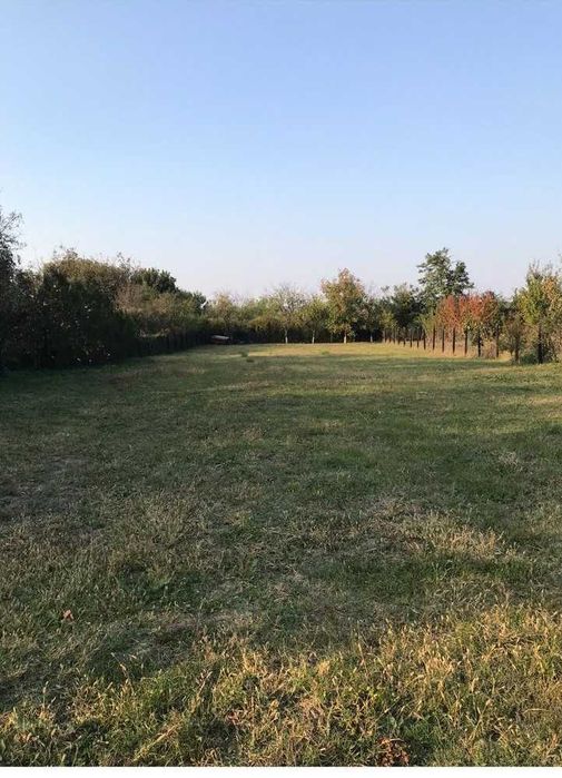 Teren intravilan Ciolpani – 1.375 mp – Str. Negustorilor – asfalt, utilități