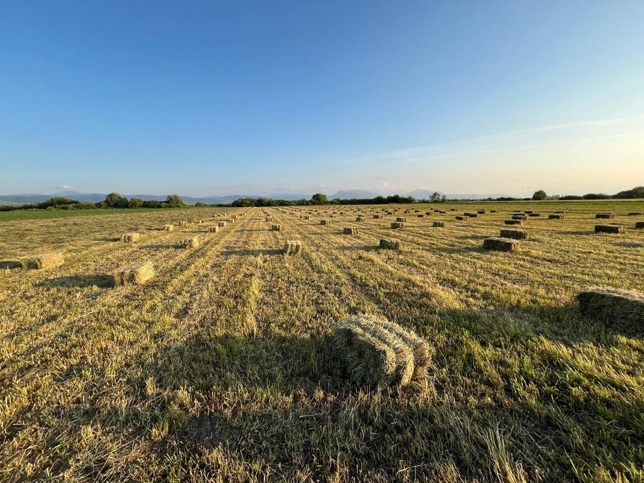 Vând baloți de fân