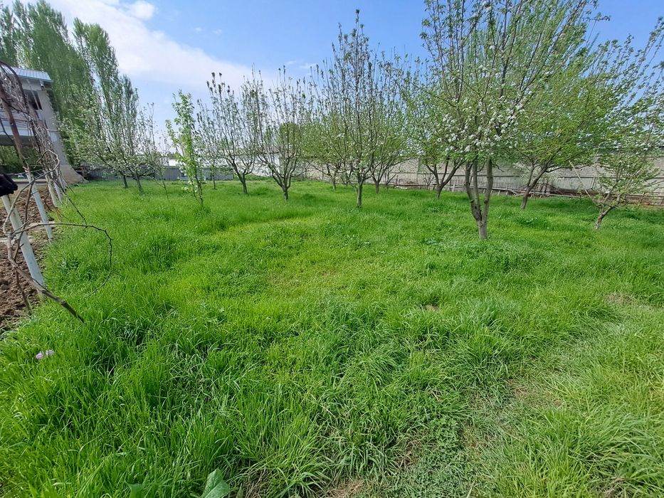 5 sotix yer sotiladi