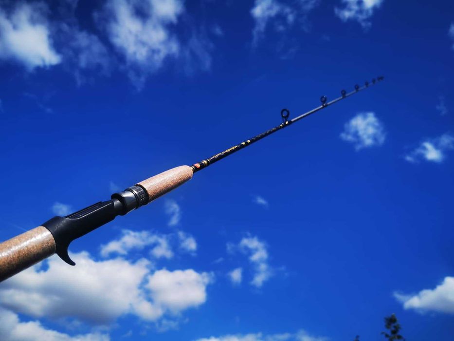 Въдица за байткастинг Penn Pinpoint 1.70мт 10кг драг