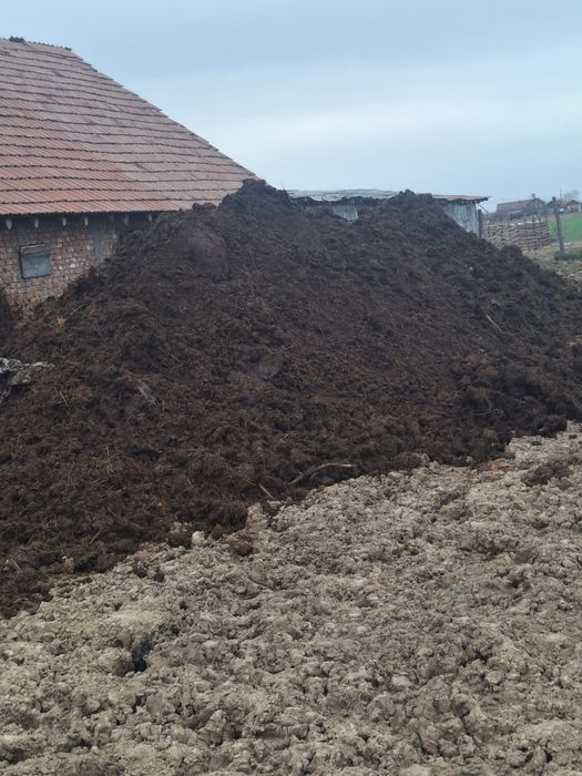 Gunoi de grajd de vânzare