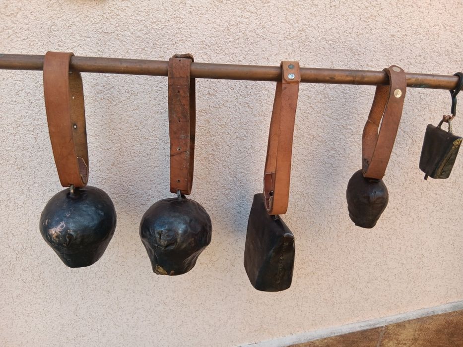 Хлопки от началото на 20 век