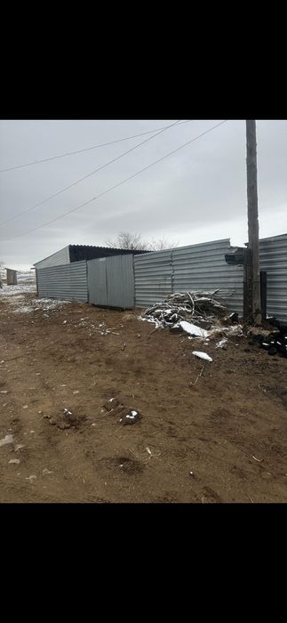 Ферма с Баранами