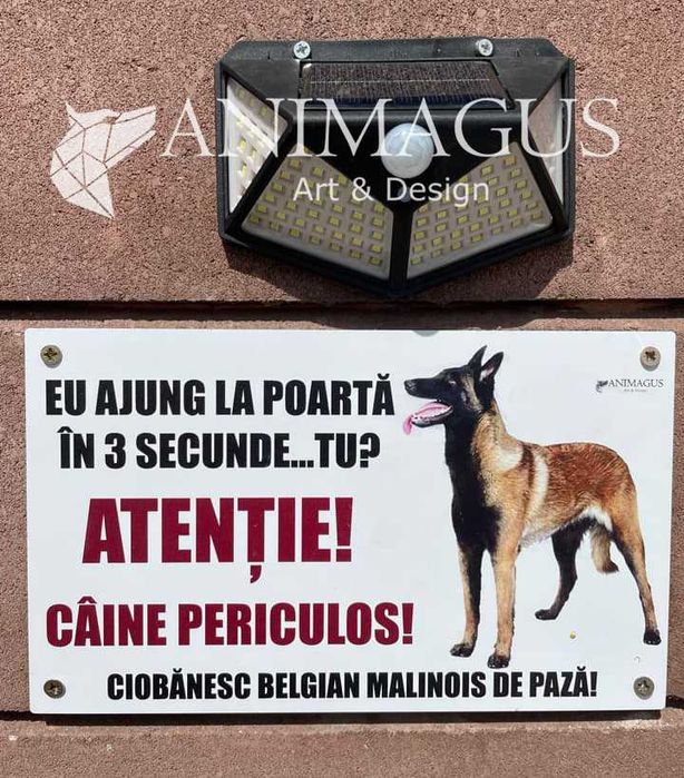 Placa Avertizare Caine Rau Periculos Malinois