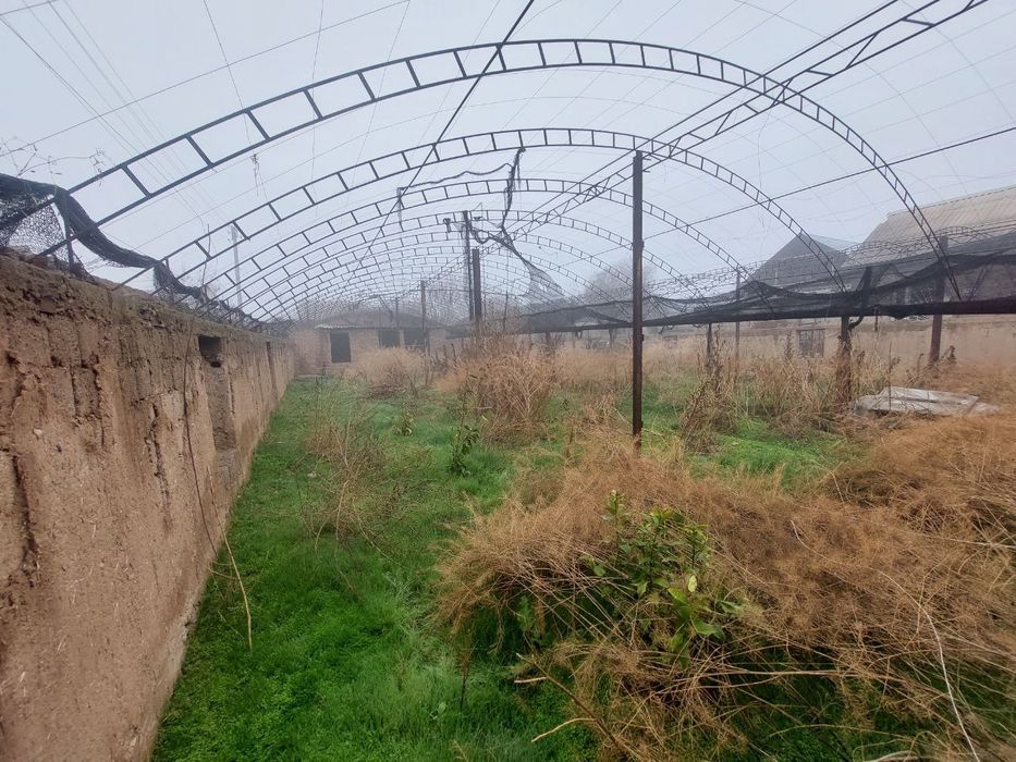 Yangi Oʻzbekistonda yer sotiladi