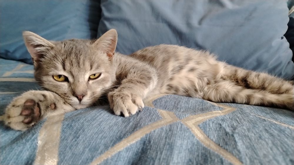 Мальчик 4 месяца