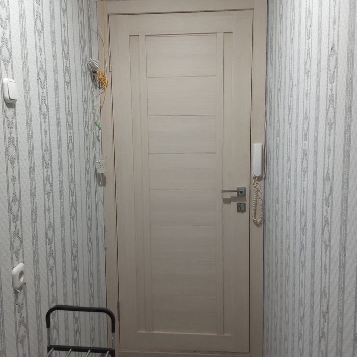 Входная железная дверь